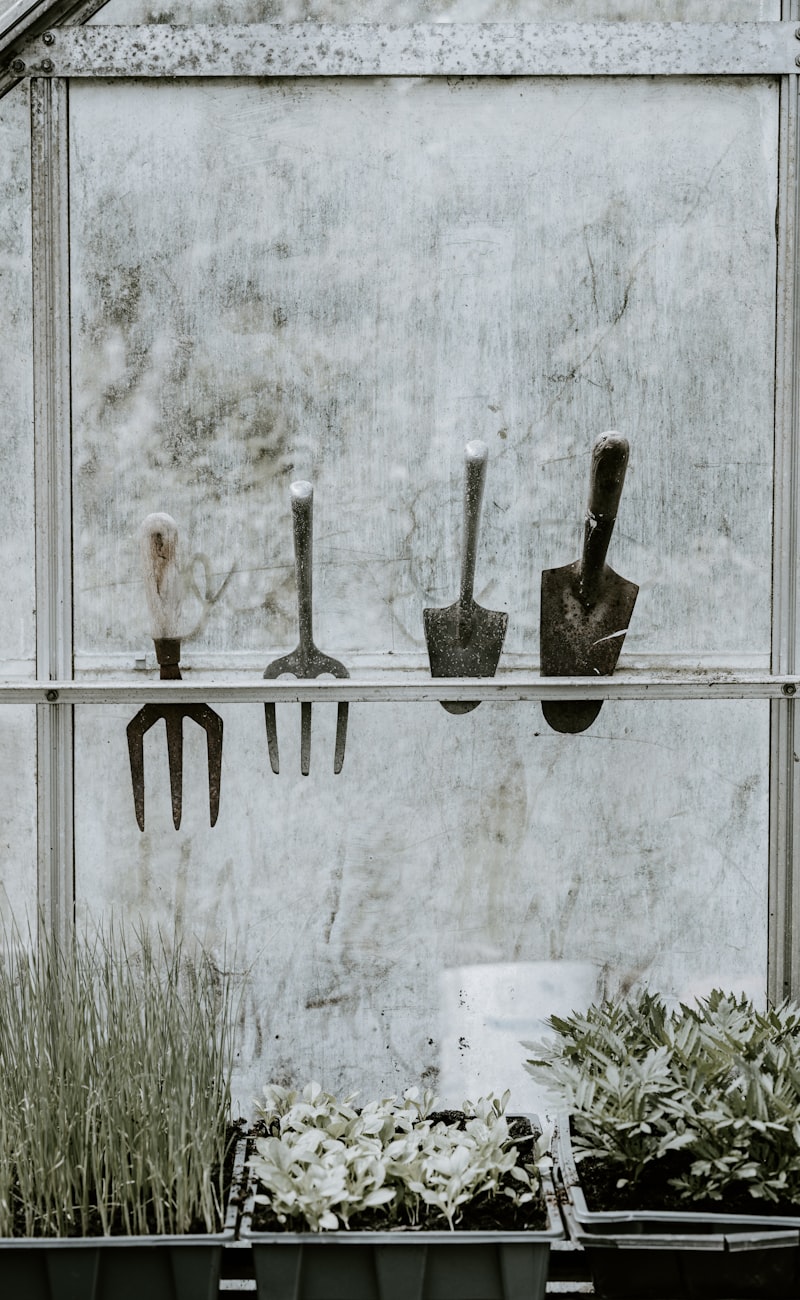Hand tools and shears