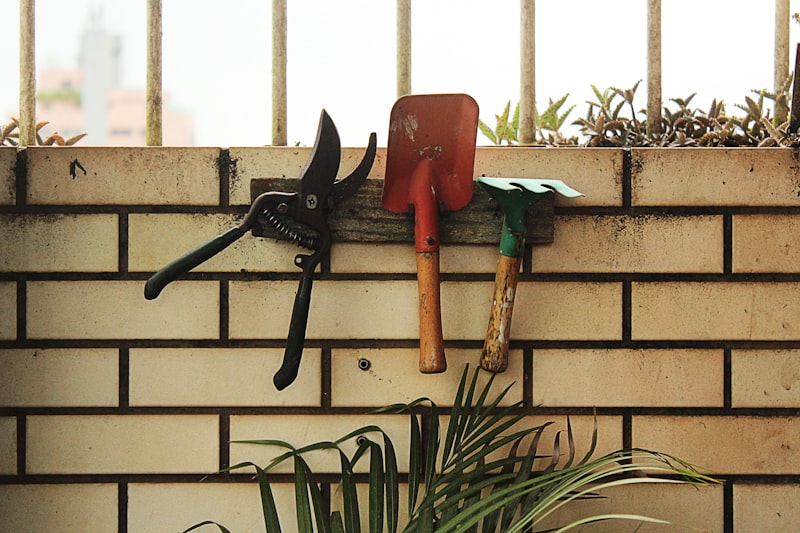 Garden tools in shed